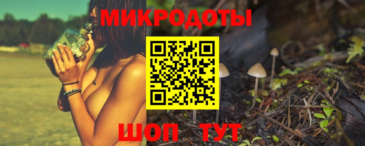 Галлюциногенные грибы MAGIC MUSHROOMS  Вход с VPN  Хабаровск 